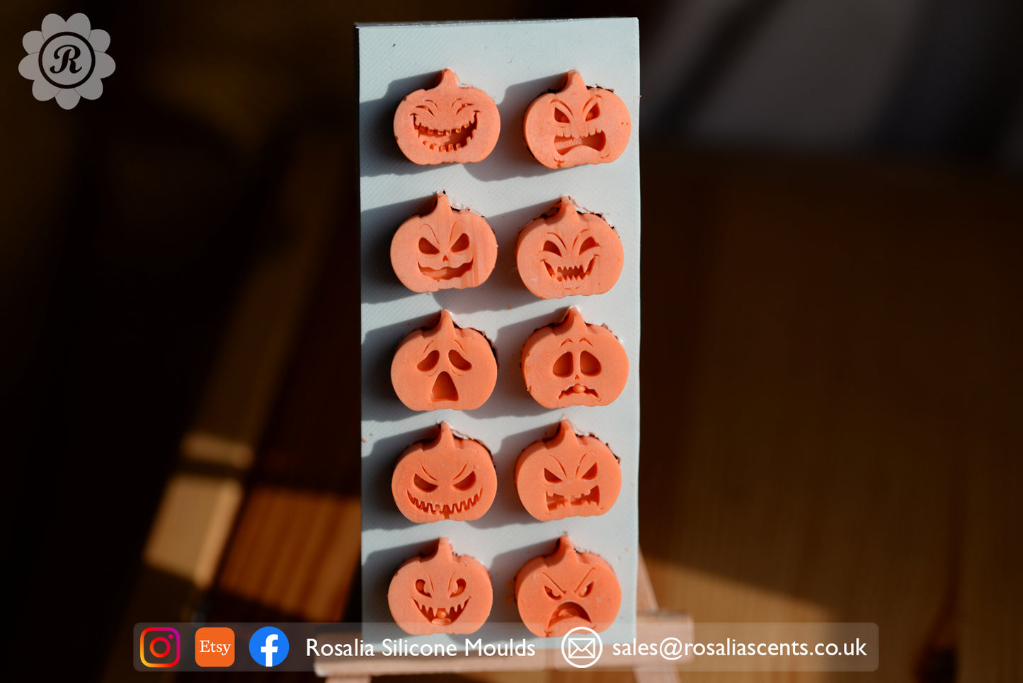 Halloween Pumpkin Wax Melts 10 Cavity Mould