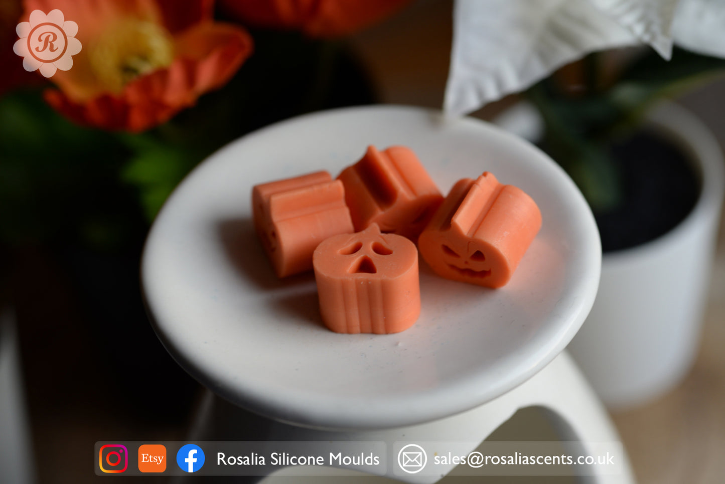 Halloween Pumpkin Wax Melts 10 Cavity Mould